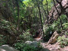 -大岭沟猕猴桃谷风景区