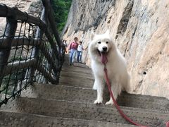 -十渡东湖港风景区