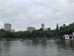 -晓港公园