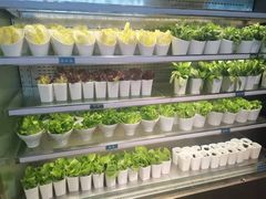 -V-ONE西雅图海鲜自助餐厅(仓山万达广场店)