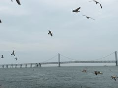 -星海广场