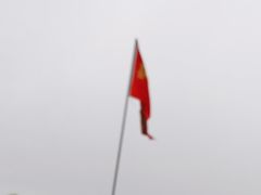 -喜杨洋草莓采摘园