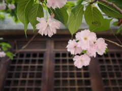-老门东历史文化街区
