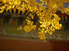 -承恩寺
