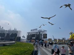-星海广场