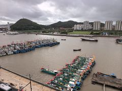 -沈家门渔港