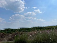 -七的湖·晚芳亭·阳澄湖农家菜·大闸蟹(莲花岛店)
