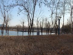 -大兴滨河森林公园