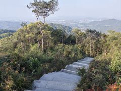 -广州市帽峰山景区