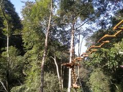 -桂山风景旅游区