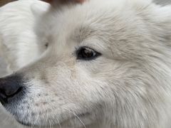 -西北农副产品中心批发市场(广安路店)