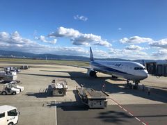-全日本空输株式会社(上海办事处)