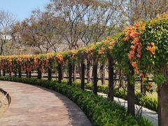 -龙环葡韵住宅式博物馆