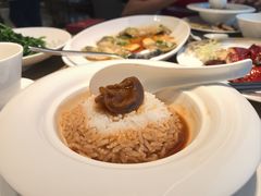 60头东海吉品干鲍捞饭-和苑酒家·一线江景(星寰店)