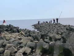 -南汇嘴观海公园