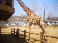 -大连森林动物园