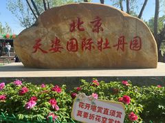 -太阳宫公园