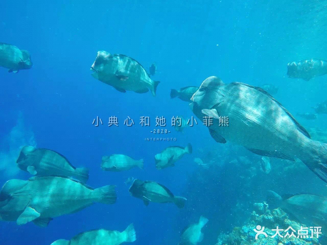 国内好像是没有到仙本那的直达航班