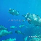 国内好像是没有到仙本那的直达航班