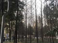 -西安市长乐公园