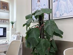 -HIMO海马体照相馆(上海华润CP静安店)