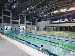 -奥林匹克体育中心游泳馆