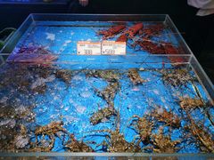-徐记海鲜(大雁塔|金都店)