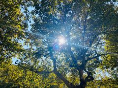 -松木场面馆(总店)