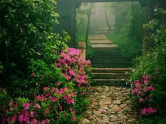 android_upload_pic-穹窿山景区