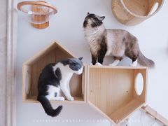 -Catmate·猫肥家润(金润铂宫店)