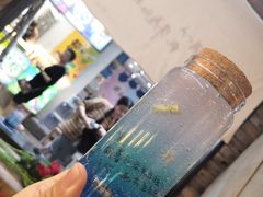 -艺心瓶(曾厝埯天泉路店)