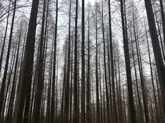 -上海怡沁园度假酒店
