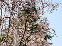 -白塘生态植物园