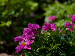 -大钟寺古钟博物馆