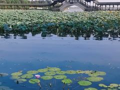 -锦溪古镇