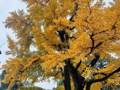 -红螺寺