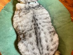 -H立方实景剧情密室(天河旗舰店)