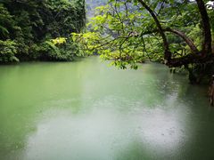 -小七孔景区东门售票处