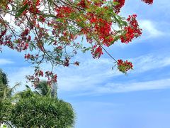 -三亚海棠湾万丽度假酒店