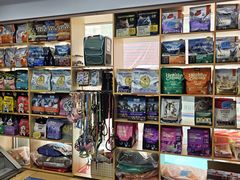 -天使宠物医院·犬猫分诊(彩虹店)