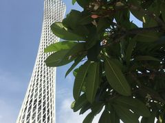 -赏点粤式点心(广州塔店)