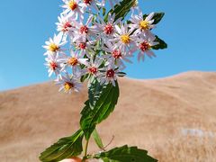 -萍乡武功山风景名胜区