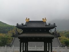-老虎沟生态农场