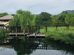 -北京植物园南门售票处