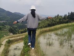 -紫鹊界梯田景区