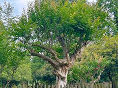 -南山风景名胜区