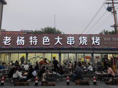 -老杨特色大串烧烤(莲池中心街店)