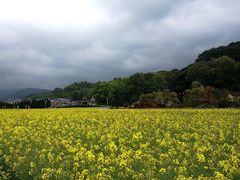 -古田会议纪念馆
