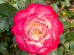 -人民公园(罗湖区)