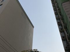 -大益烤鸡